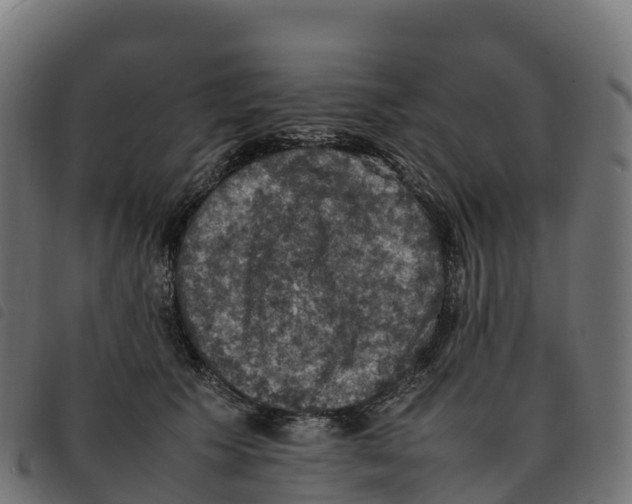 X0000092220609200710121158