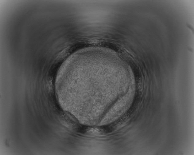 X0000092220611200710121158