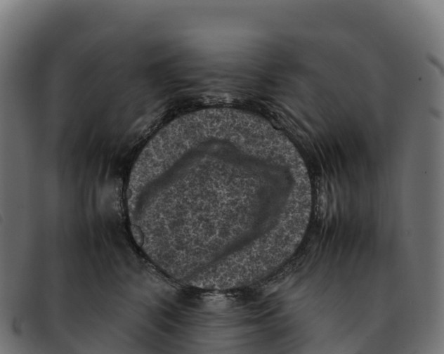 X0000092220616200710121158