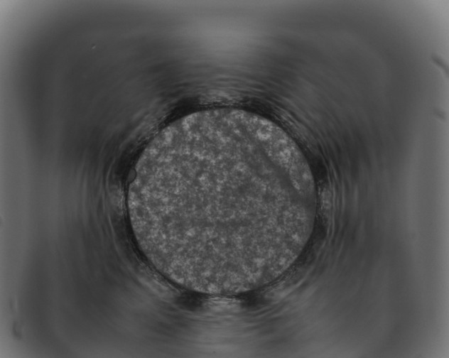X0000092220617200710121158