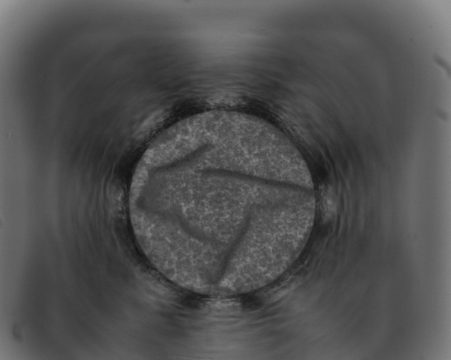 X0000092220619200710121158