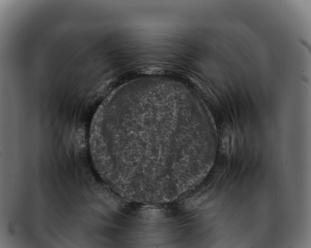 X0000092220620200710121158