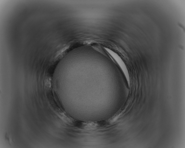 X0000092220621200710121158