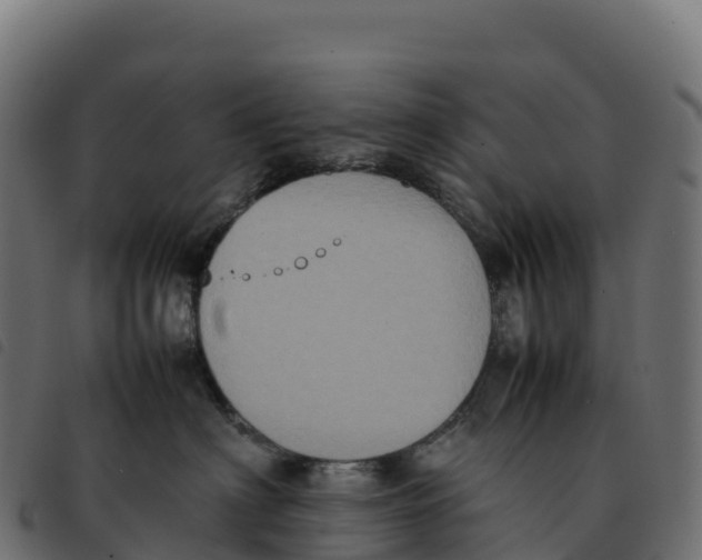 X0000092220622200710121158