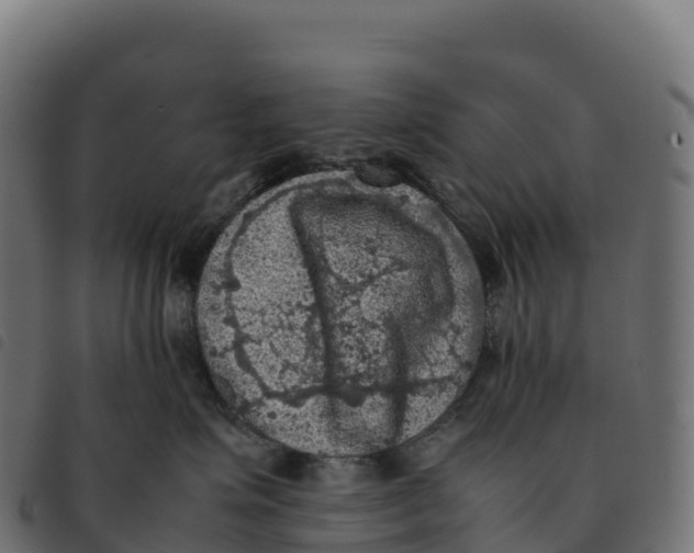 X0000092220623200710121158