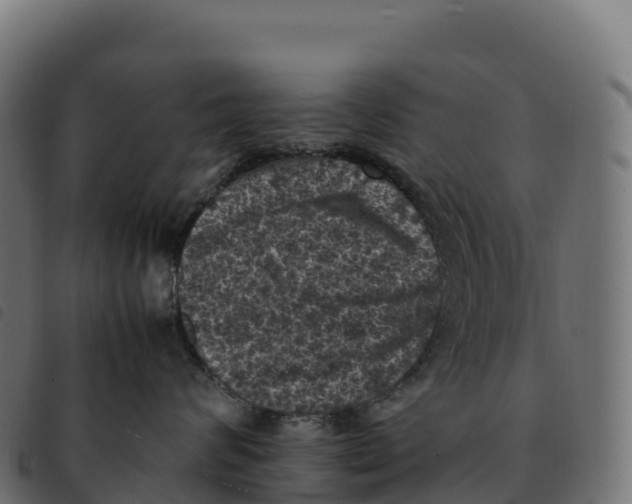 X0000092220624200710121158