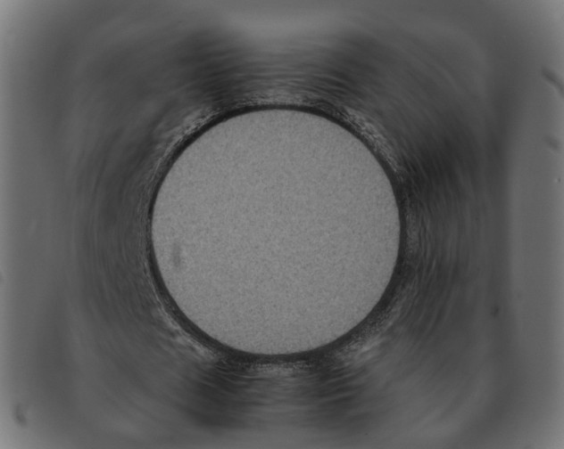 X0000092220625200710121157