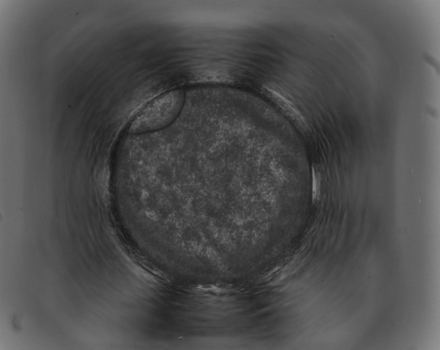 X0000092220627200710121157