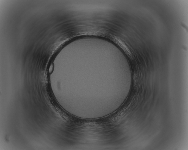 X0000092220628200710121157