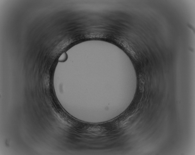 X0000092220631200710121157