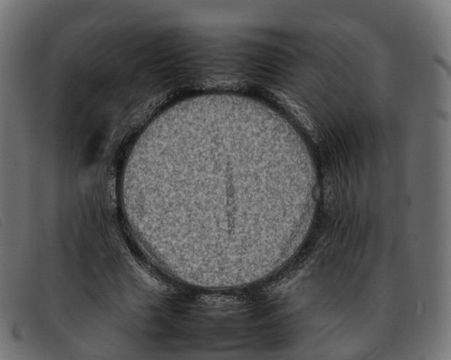 X0000092220633200710121157