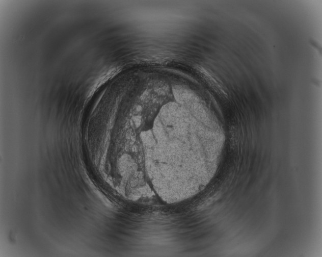 X0000092220634200710121157