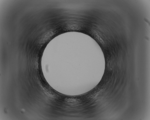 X0000092220635200710121157