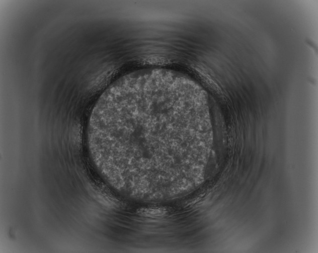X0000092220639200710121157