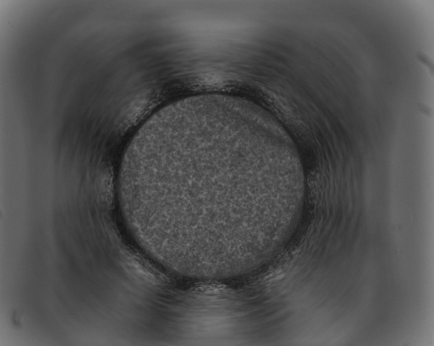 X0000092220642200710121158
