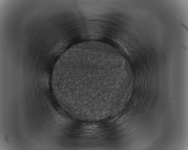 X0000092220643200710121158