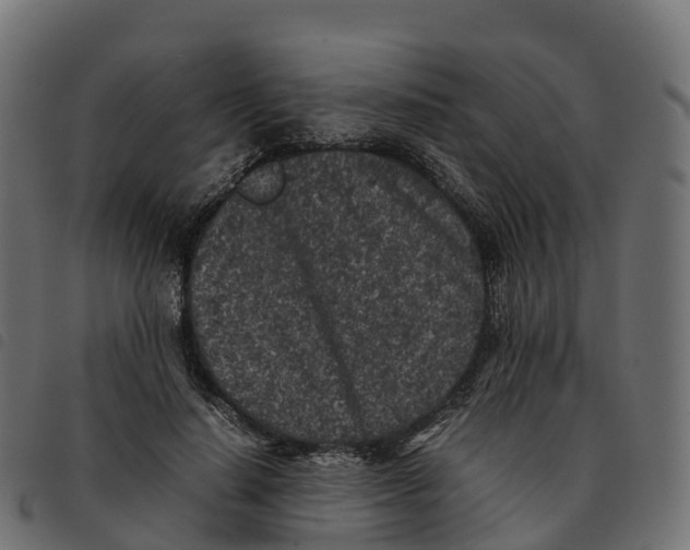X0000092220644200710121158