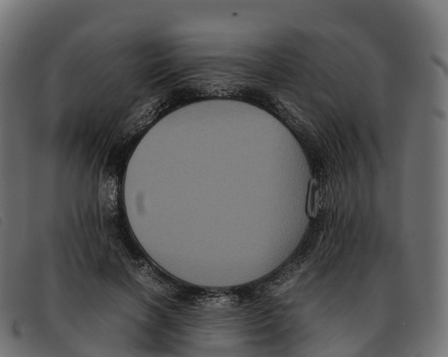 X0000092220646200710121158