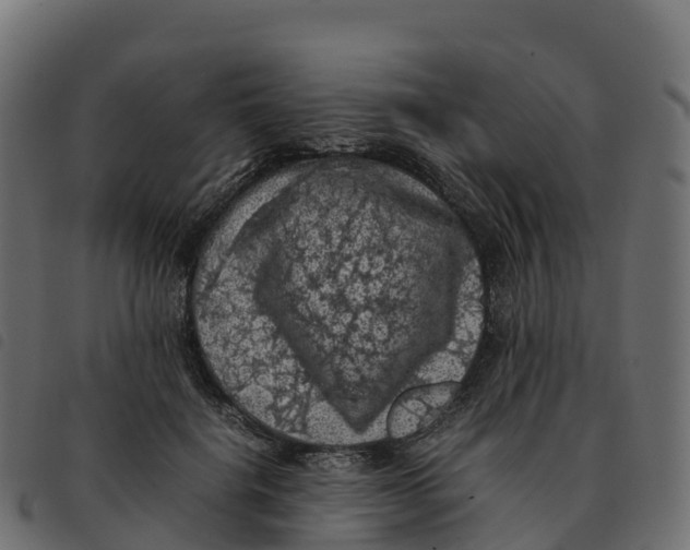 X0000092220652200710121158