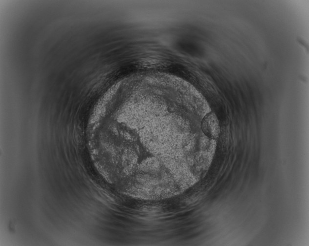 X0000092220653200710121158