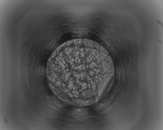 X0000092220657200710121158