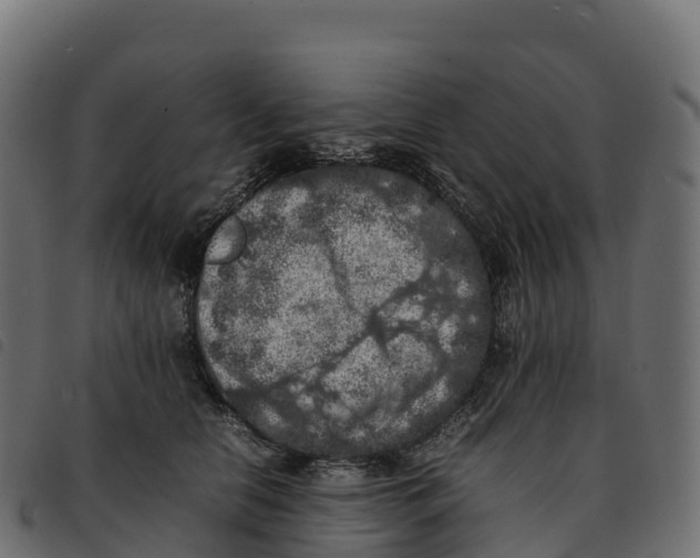 X0000092220658200710121158