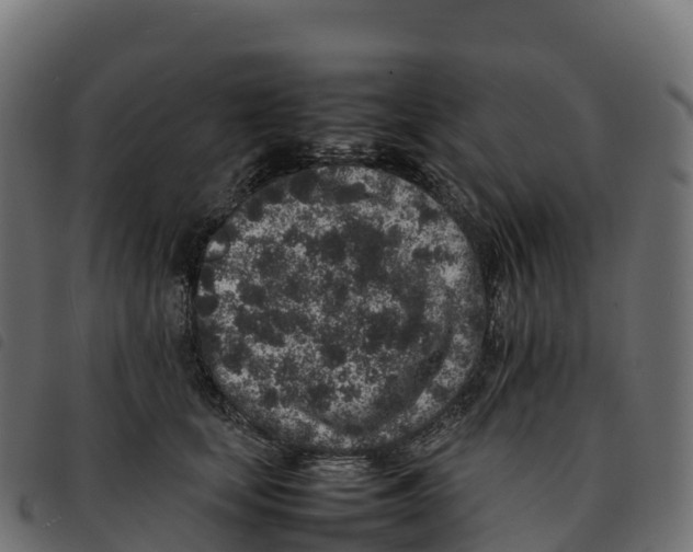 X0000092220659200710121158