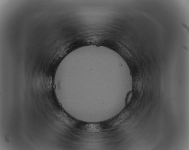 X0000092220660200710121158