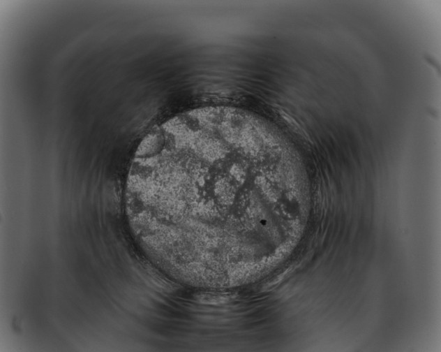 X0000092220661200710121158