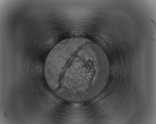 X0000092220662200710121158