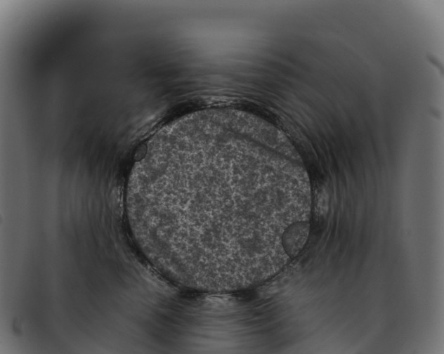 X0000092220666200710121158