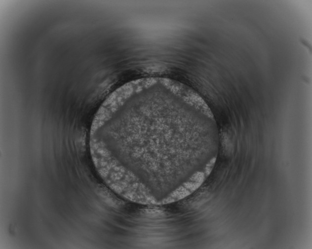 X0000092220668200710121158