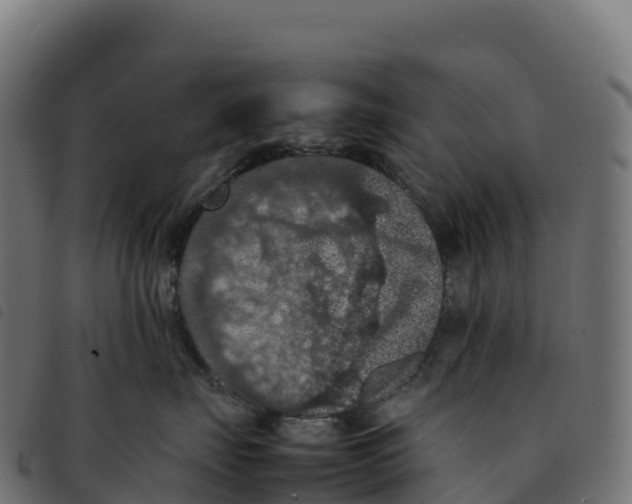 X0000092220671200710121158
