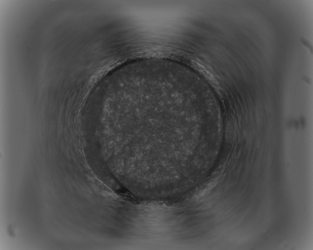 X0000092220673200710121157