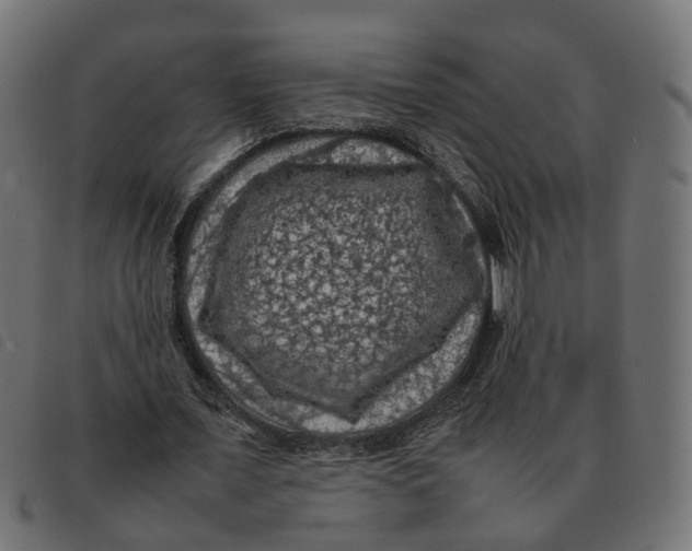 X0000092220675200710121157
