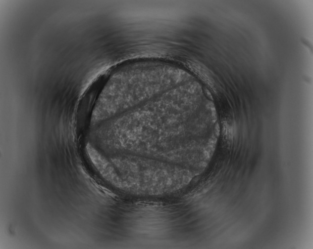 X0000092220676200710121157