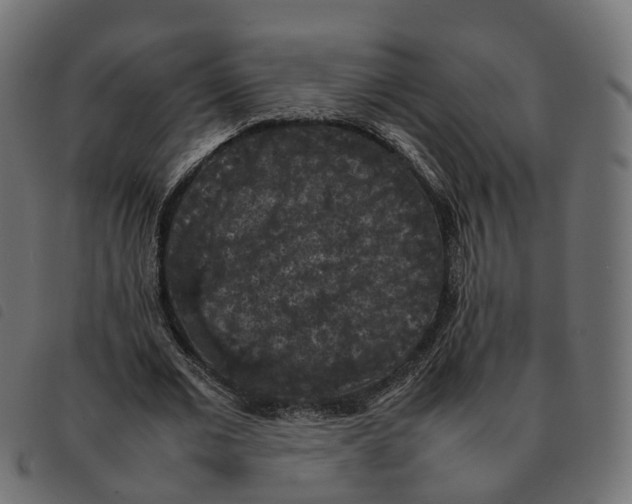 X0000092220677200710121157