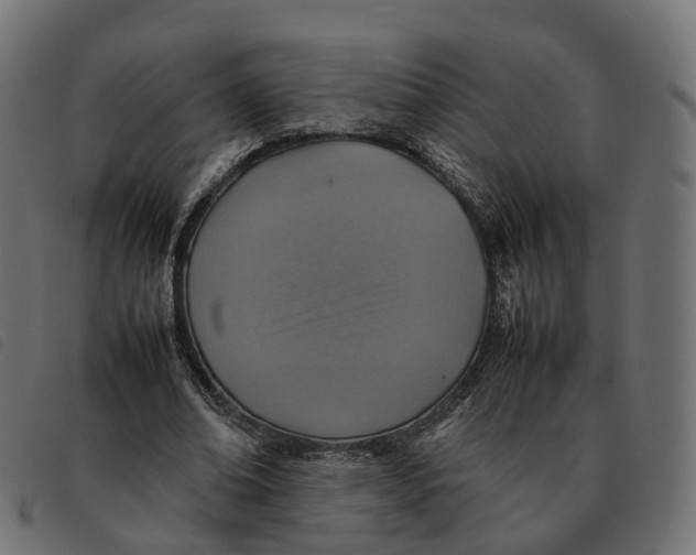 X0000092220678200710121157