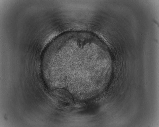 X0000092220679200710121157