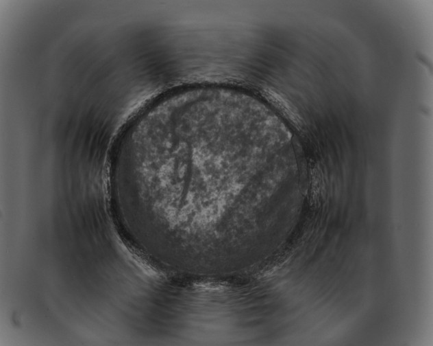 X0000092220680200710121157