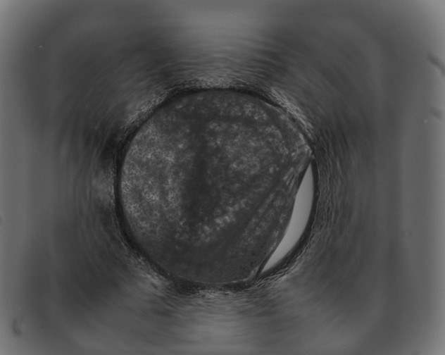 X0000092220681200710121157