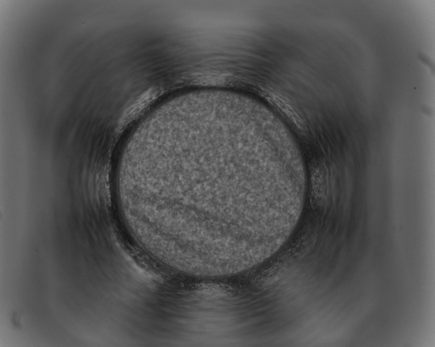 X0000092220682200710121157