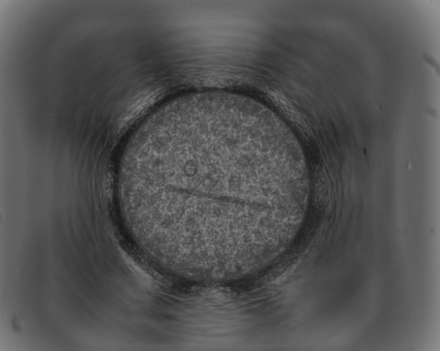 X0000092220683200710121157
