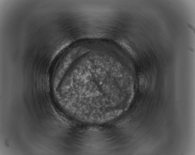 X0000092220684200710121157