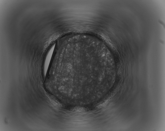 X0000092220685200710121157