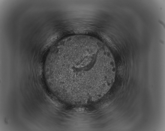 X0000092220687200710121157
