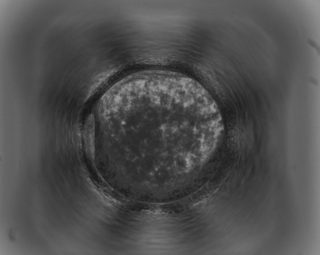 X0000092220688200710121157