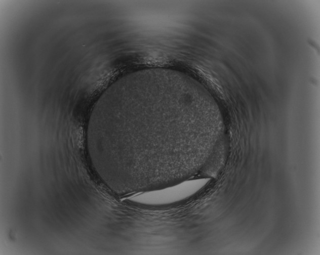 X0000092220689200710121157
