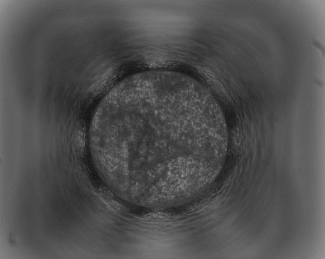 X0000092220691200710121157