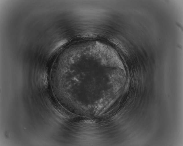 X0000092220692200710121157